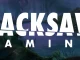 История провайдера Hacksaw Gaming